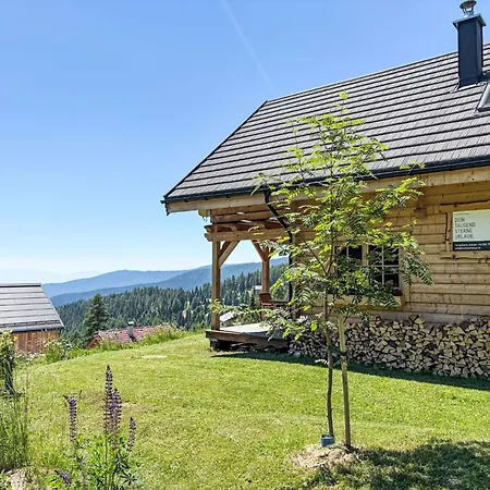 Amsel By Interhome Hochrindl