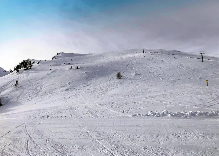 Amsel By Interhome בקתה הוכרינדל